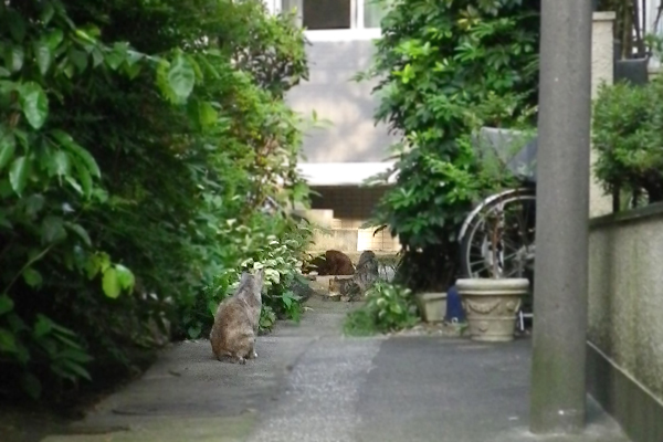 食事街銀ちゃん