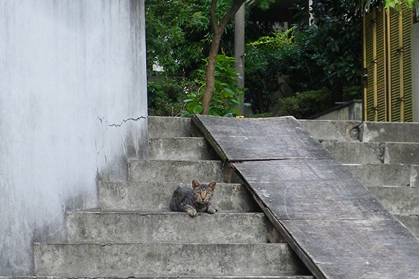 タビワン階段