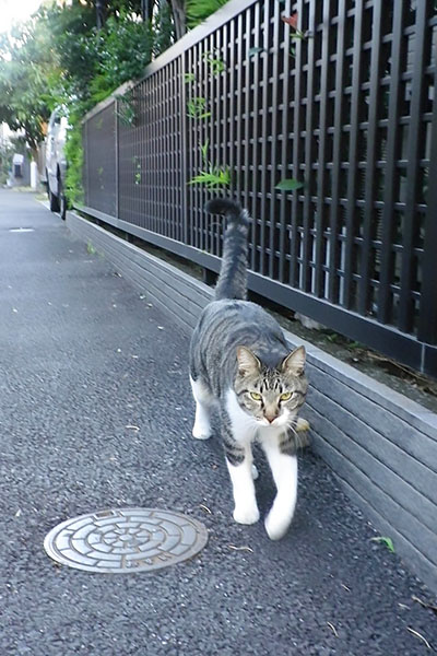 リオ君に確認される