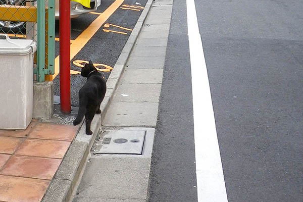 駐車場くーちゃん