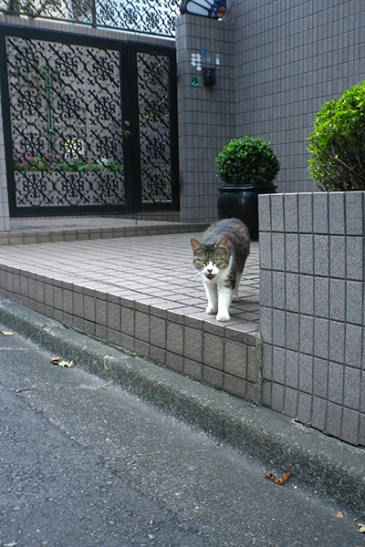 素敵ハウス