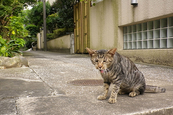 あくびタビワン