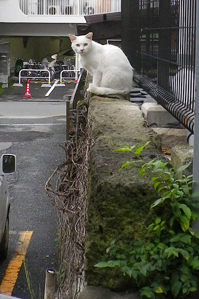 お座り全景