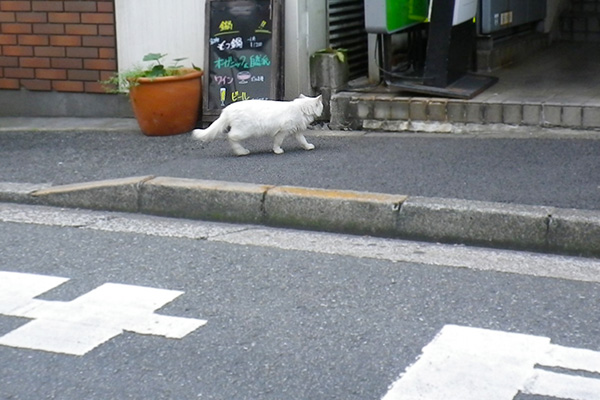 ライの隠れ家