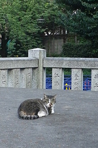 神社雫