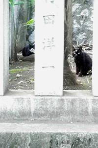 神社カラとナクゥ