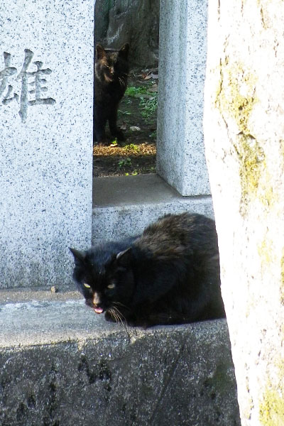 ナクゥと一緒の大君