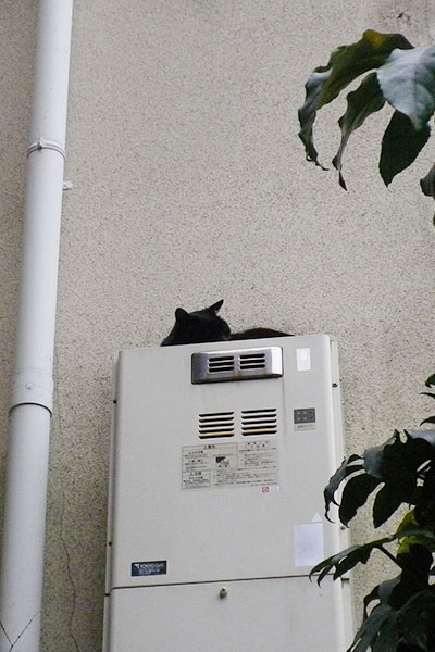 くろねこ給湯室外機