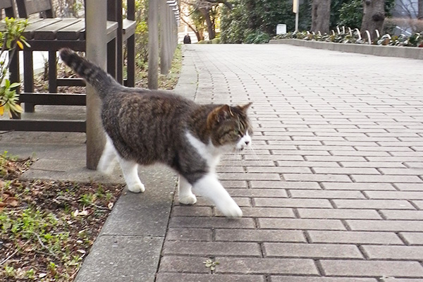 ターゲットロックオン