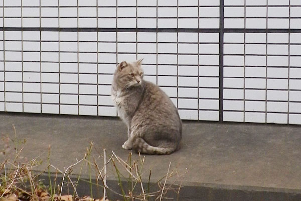 背後を気にするシュタ