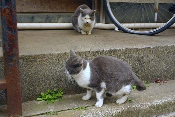 登ったり降りたり