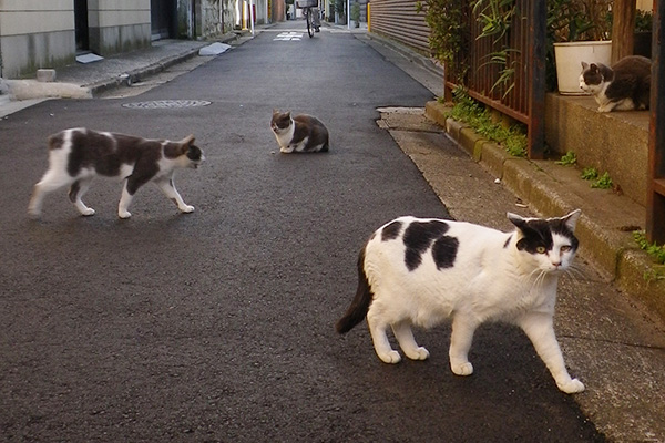 坊ちび姉そしてママ