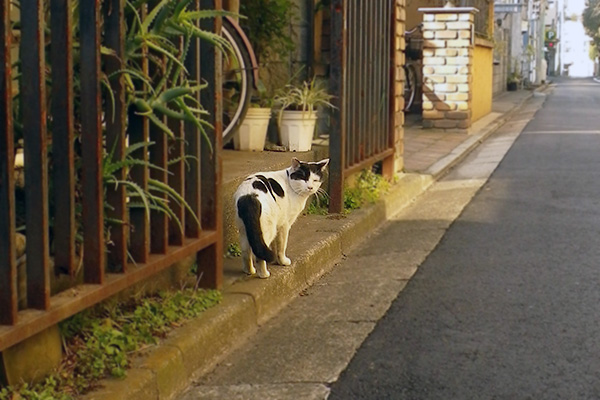 振り返る坊