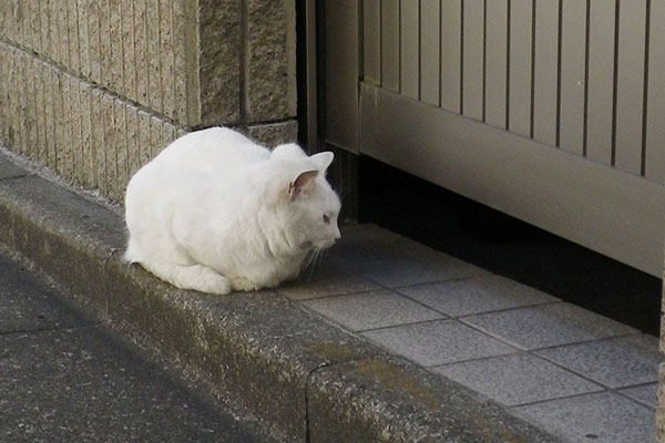 お掃除中なの