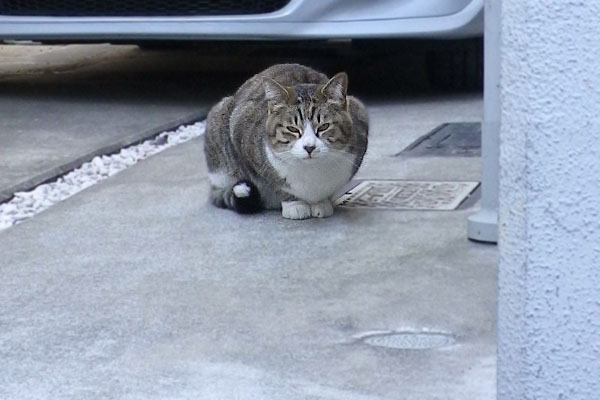 じとーっとした目付き