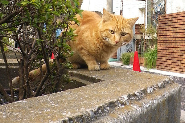 1回目食べ終わり