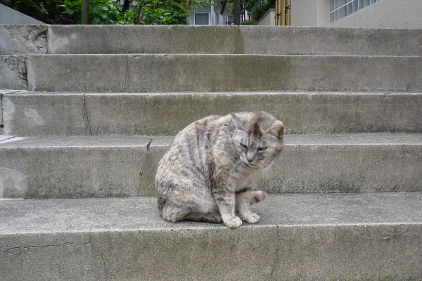 奥に行かない銀