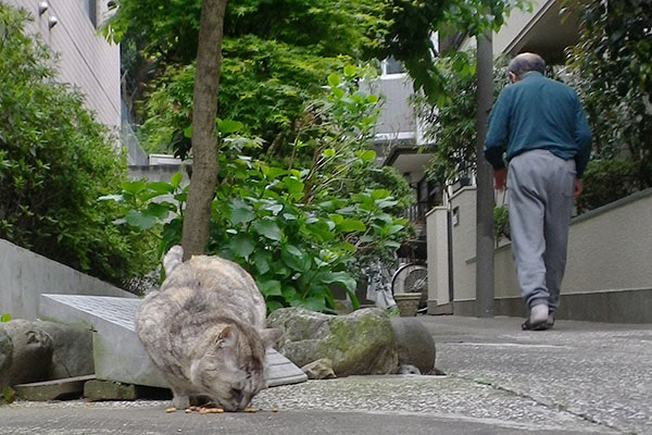 教授の後姿と食べてる銀