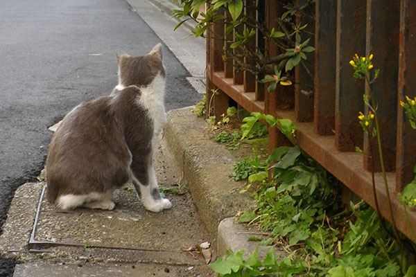 うるさいなぁ的背中