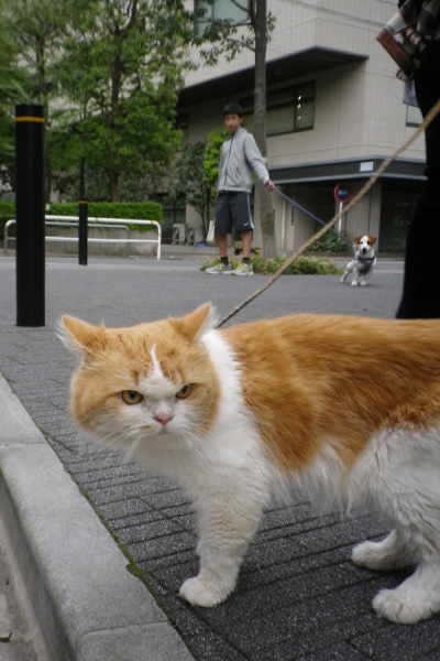 頭の大きさがかわいい