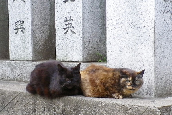 チョコが少し辛そうに見える