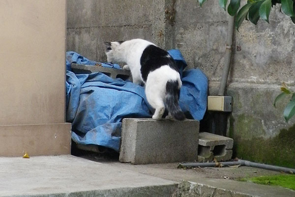 一度出て反対側から食べる