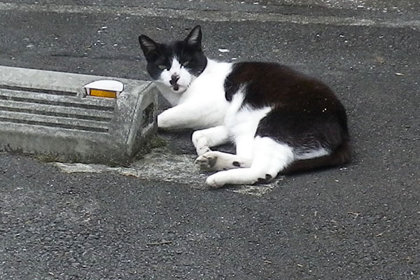 マシュー気が付く