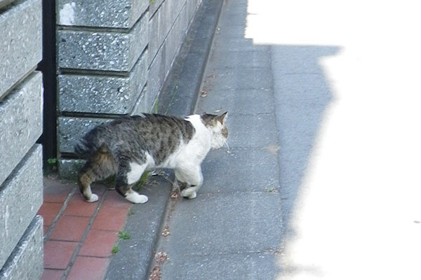 ゆっくり道路へ出る