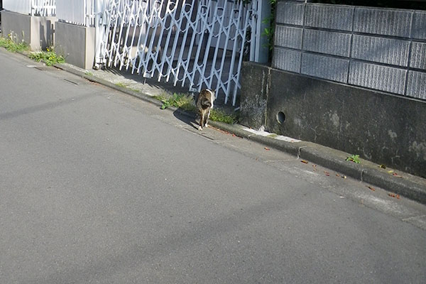 空き家のガレージへ