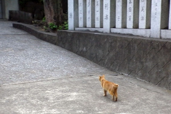 池の方を見る