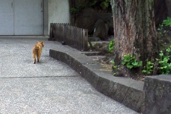 池の前