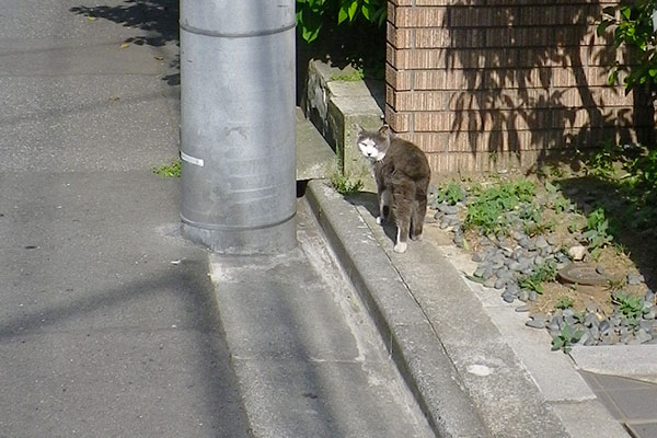 知ってる人間