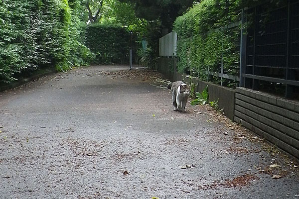 ドンちゃん右側にくる