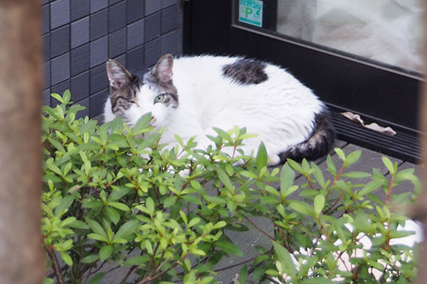 前の日のウィン片目で見る