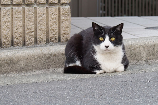 正面へ移動中