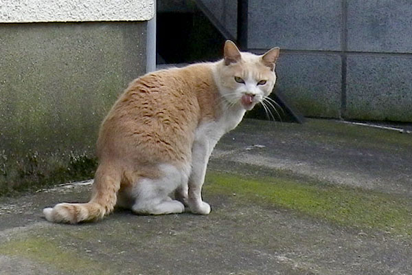 逃げながら鼻水の処理