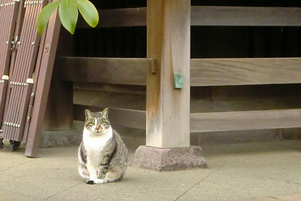 1年半前の雫