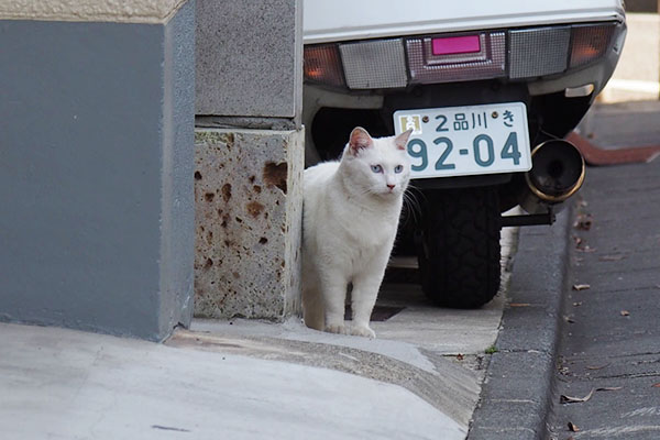 りり銀を見つめる