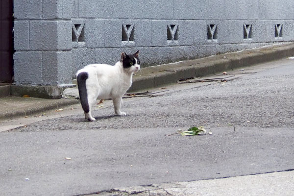 また明日