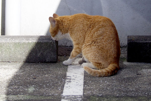 食べ終わった