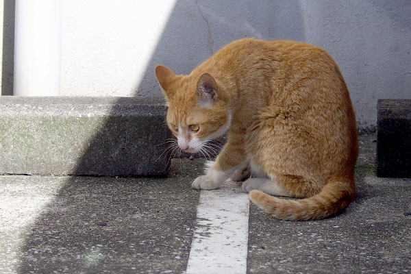 落としていないか確認中