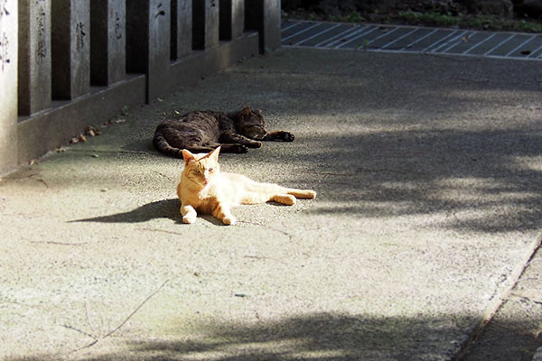 仲良く過ごすふたり