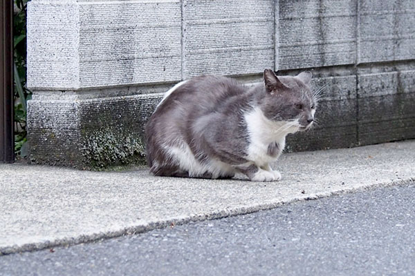 座りなおしてみる