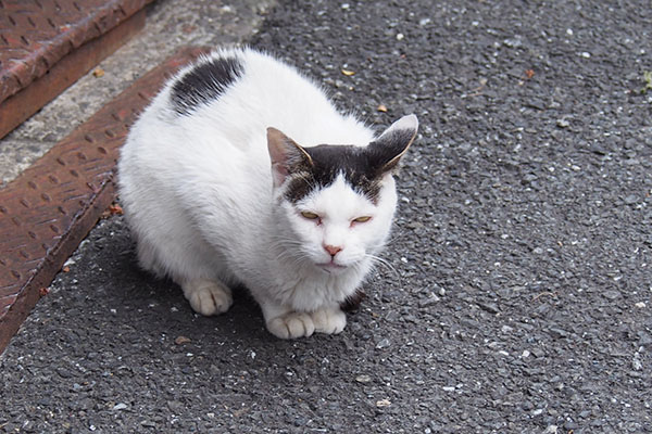 正面へ