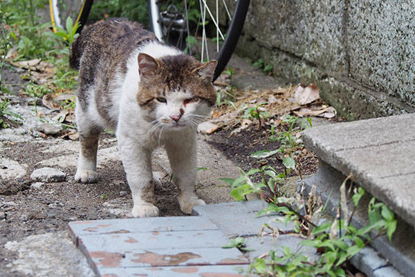 見つめて