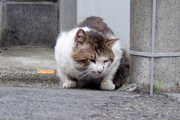 食べ終えた