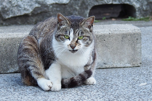 丸い雫正面から