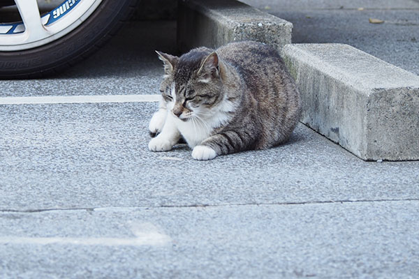 横になる雫