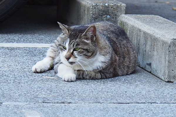 体重をかけて横になる