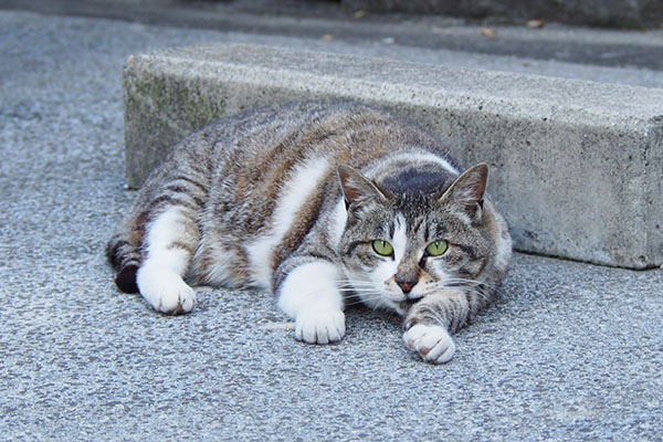 横になった雫正面から